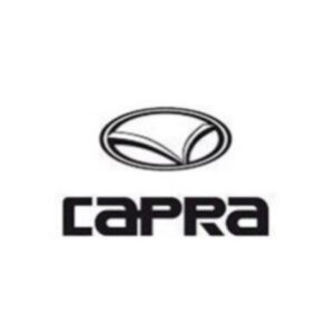 امداد خودرو کاپرا